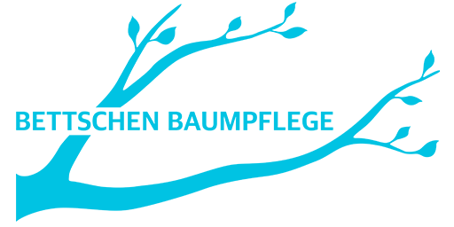 Logo - Bettschen Baumpflege