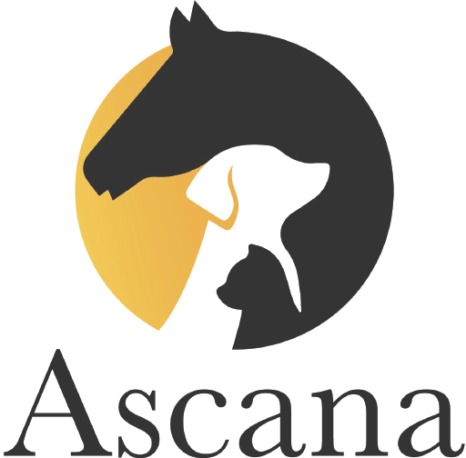 Logo - Ascana by tanja windels