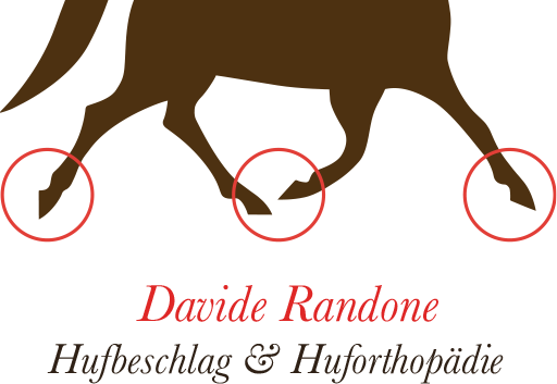 Logo - Hufbeschlag & Huforthopädie
