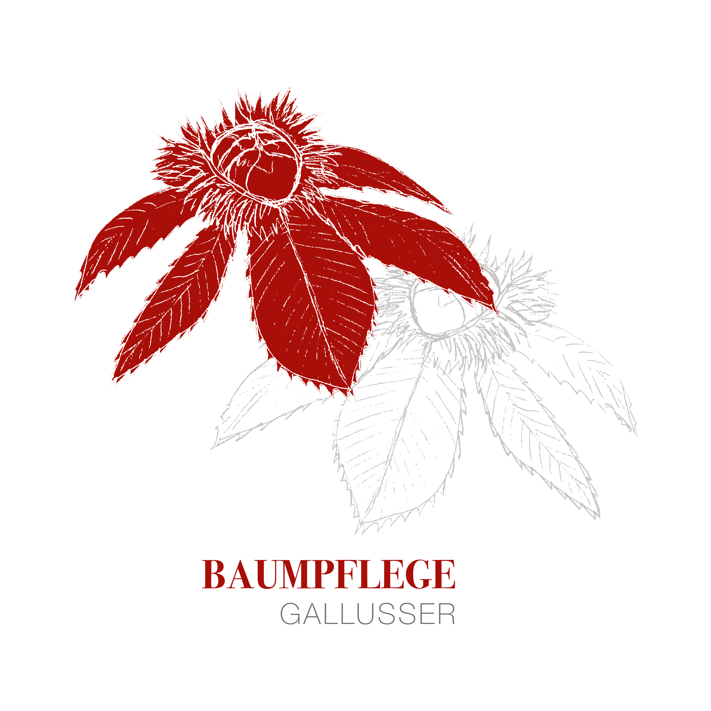 Logo - Baumpflege-Gallusser