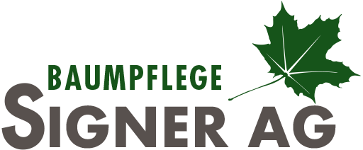Logo - Baumpflege Signer AG