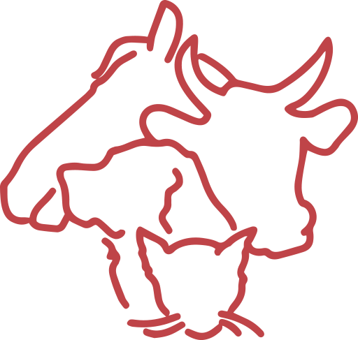 Logo - Tierarztpraxis Rösslimatte GmbH