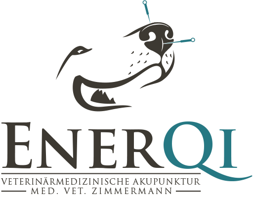 Logo - EnerQi
Veterinärmedizinische Akupunktur