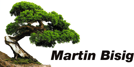 Logo - Bisig Martin