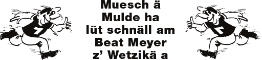 Logo - Wetzi-Mulden-Service GmbH
