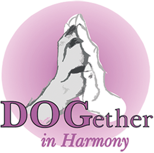 Logo - DOGether in Harmony
Die Hundeschule mit Herz
